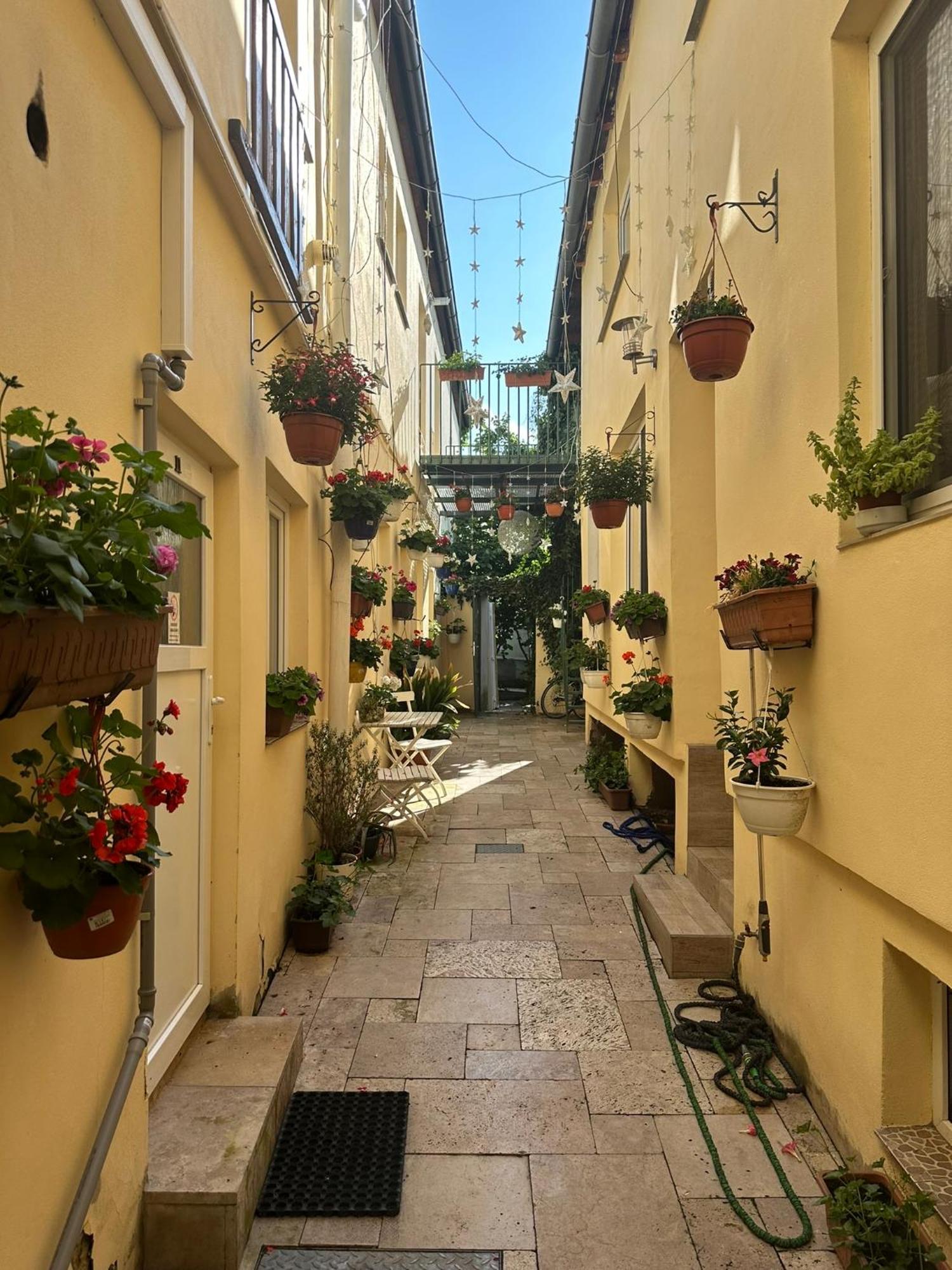 Penzion 4 Dvory Ceske Budejovice Dış mekan fotoğraf