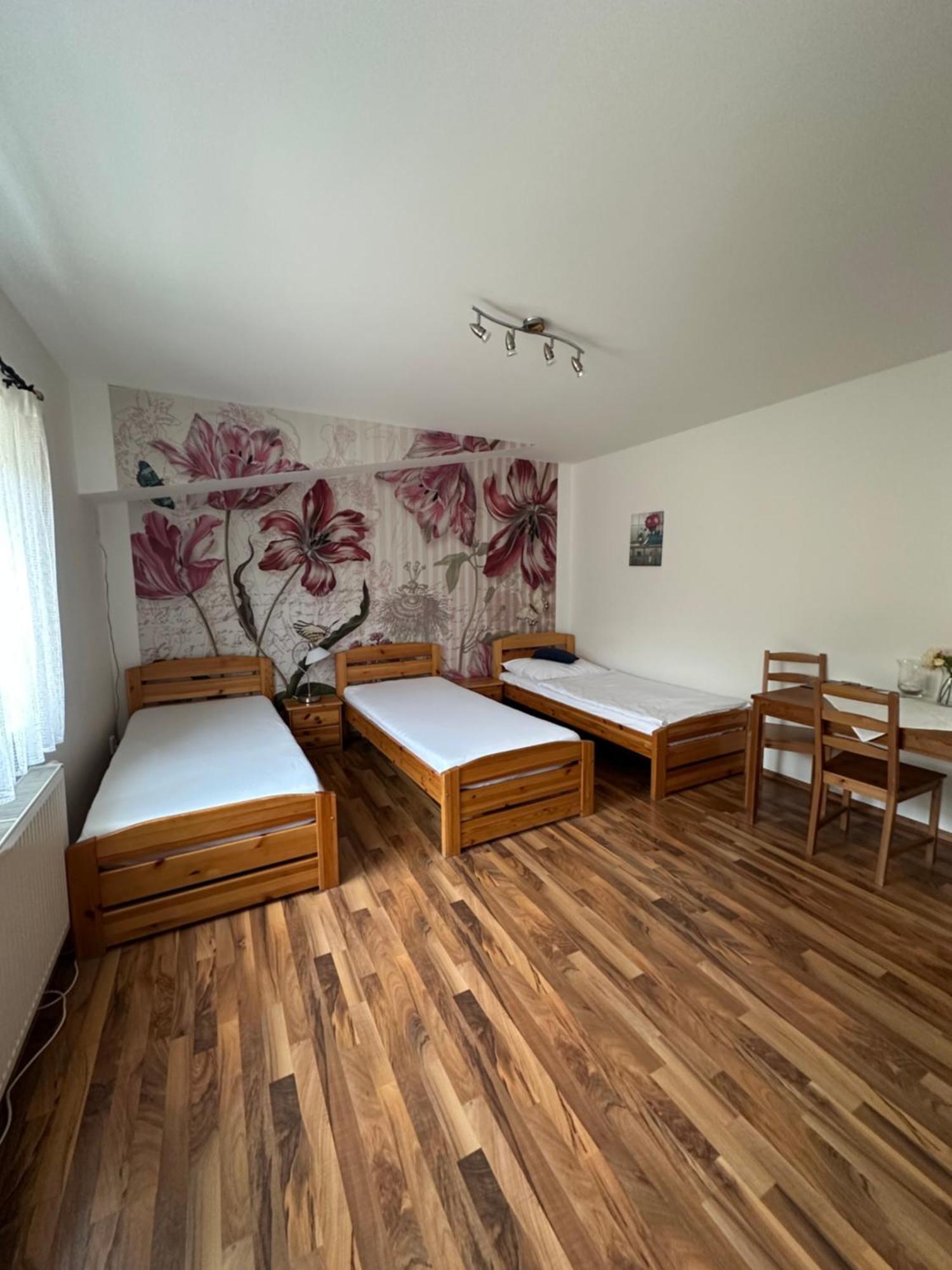 Penzion 4 Dvory Ceske Budejovice Dış mekan fotoğraf